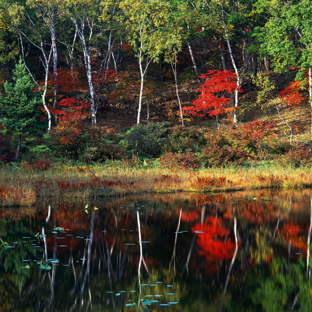 Пейзаж осени