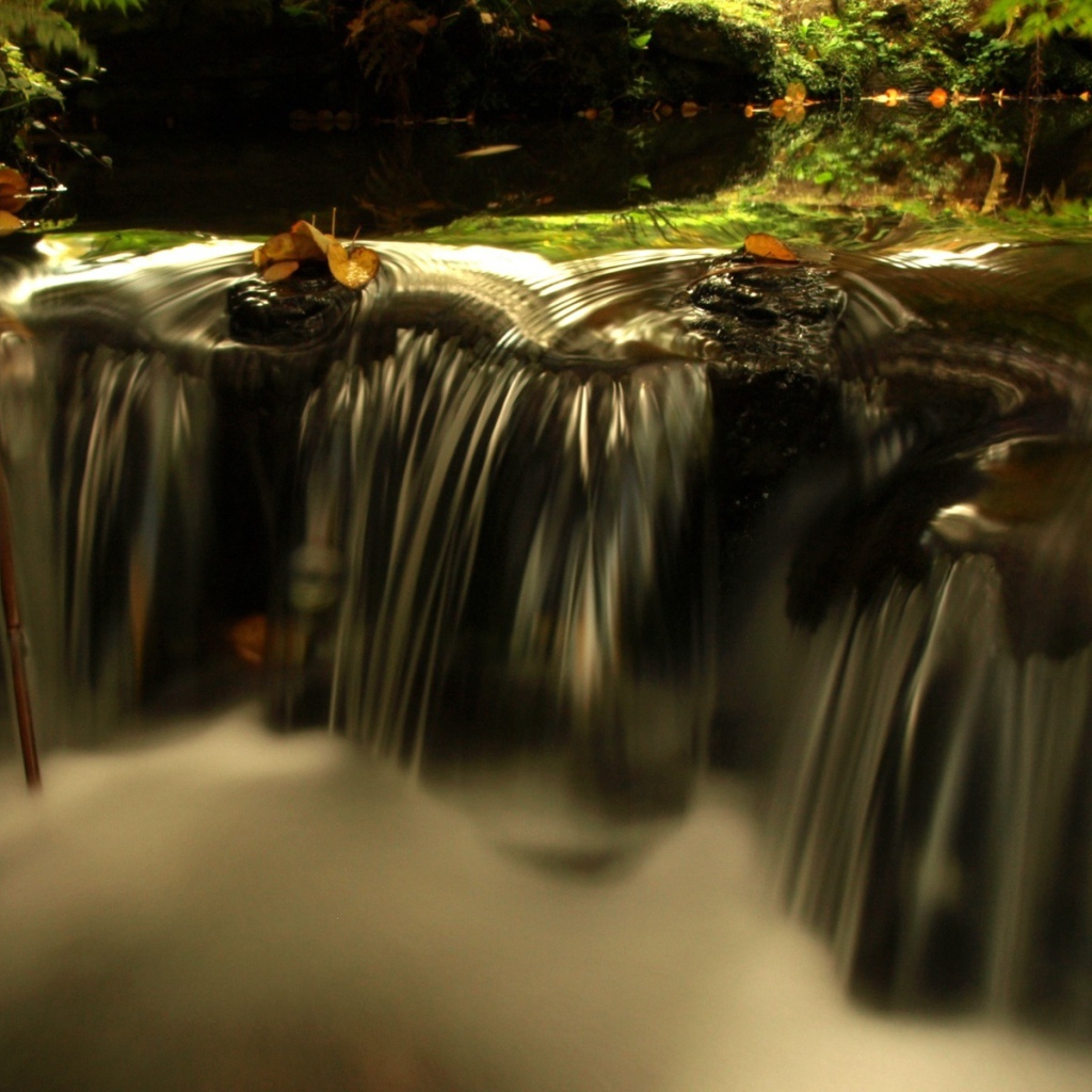 Источник жизни