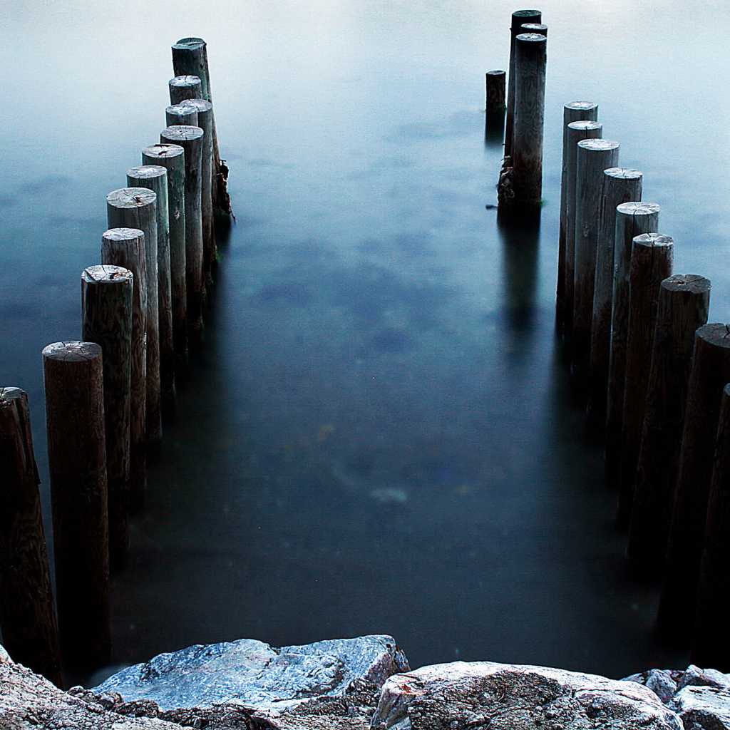 Бревна в воде