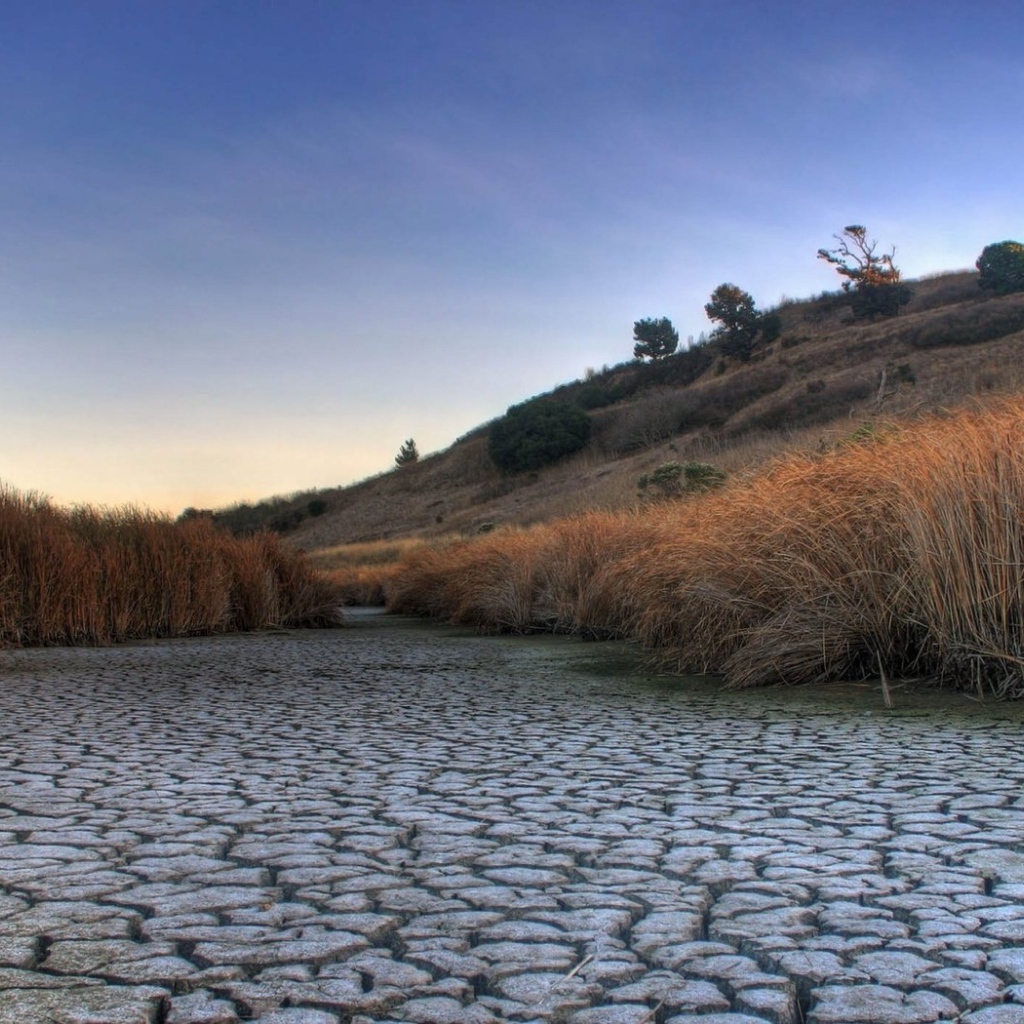 Высохшее русло