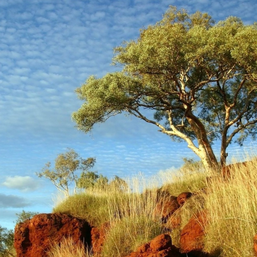 В солнечный день