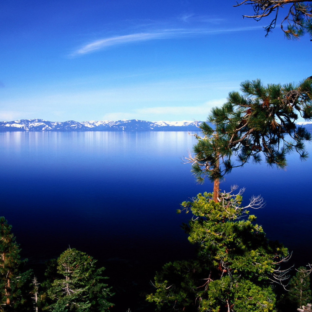 На фоне горного озера