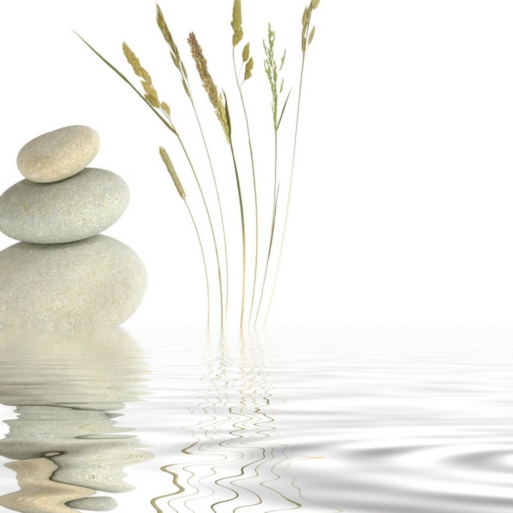 Отражение в воде