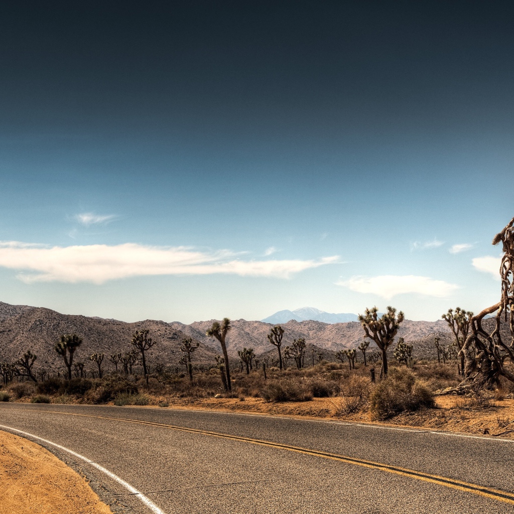 Дорога в пустыне