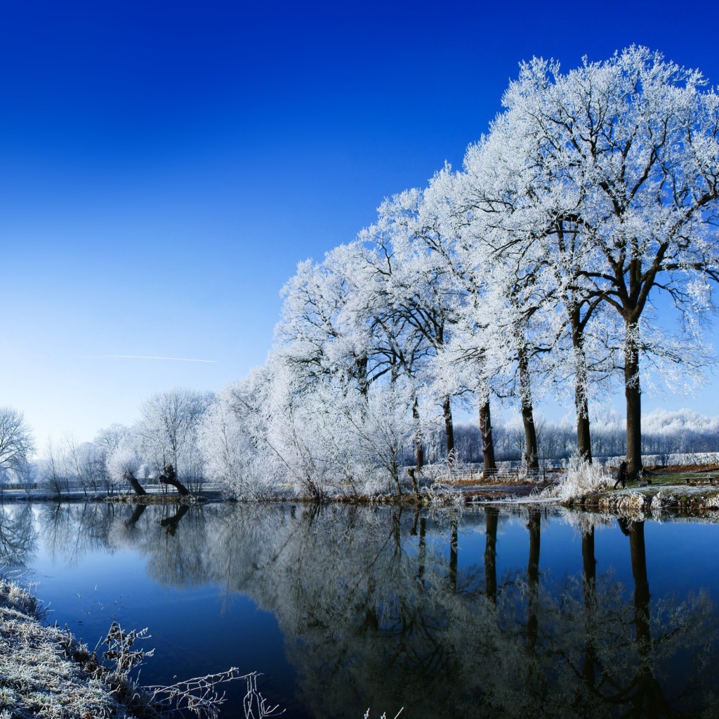 Зимняя свежесть