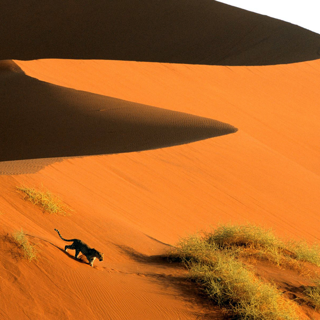 песчаные дюны