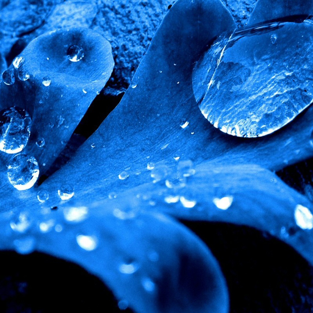 Синий листок