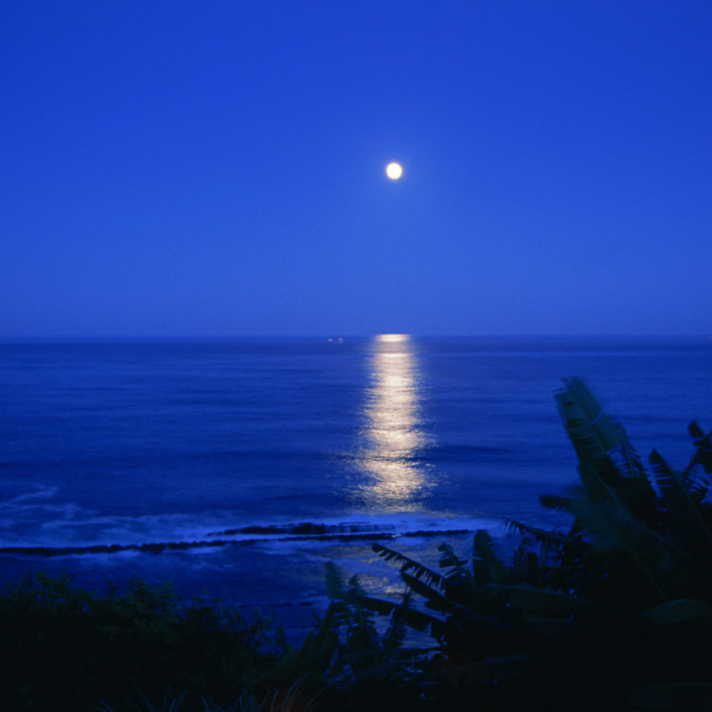 Лунная дорожка