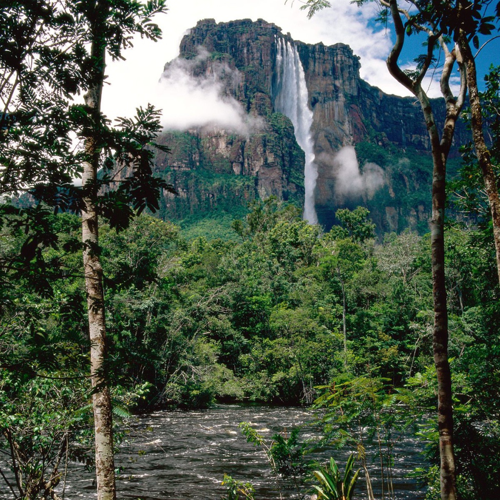 Водопад Ангела Венесуэла