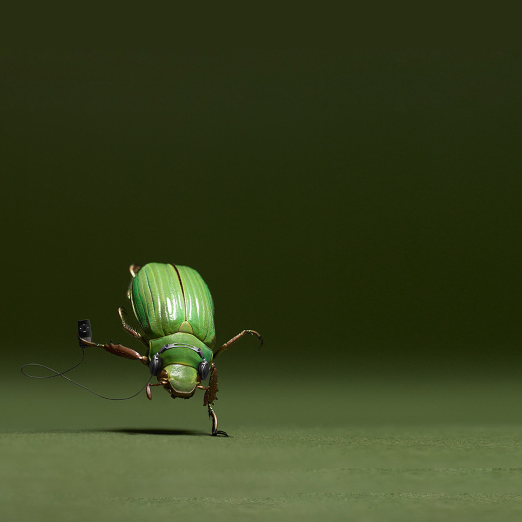 Танцующий жук