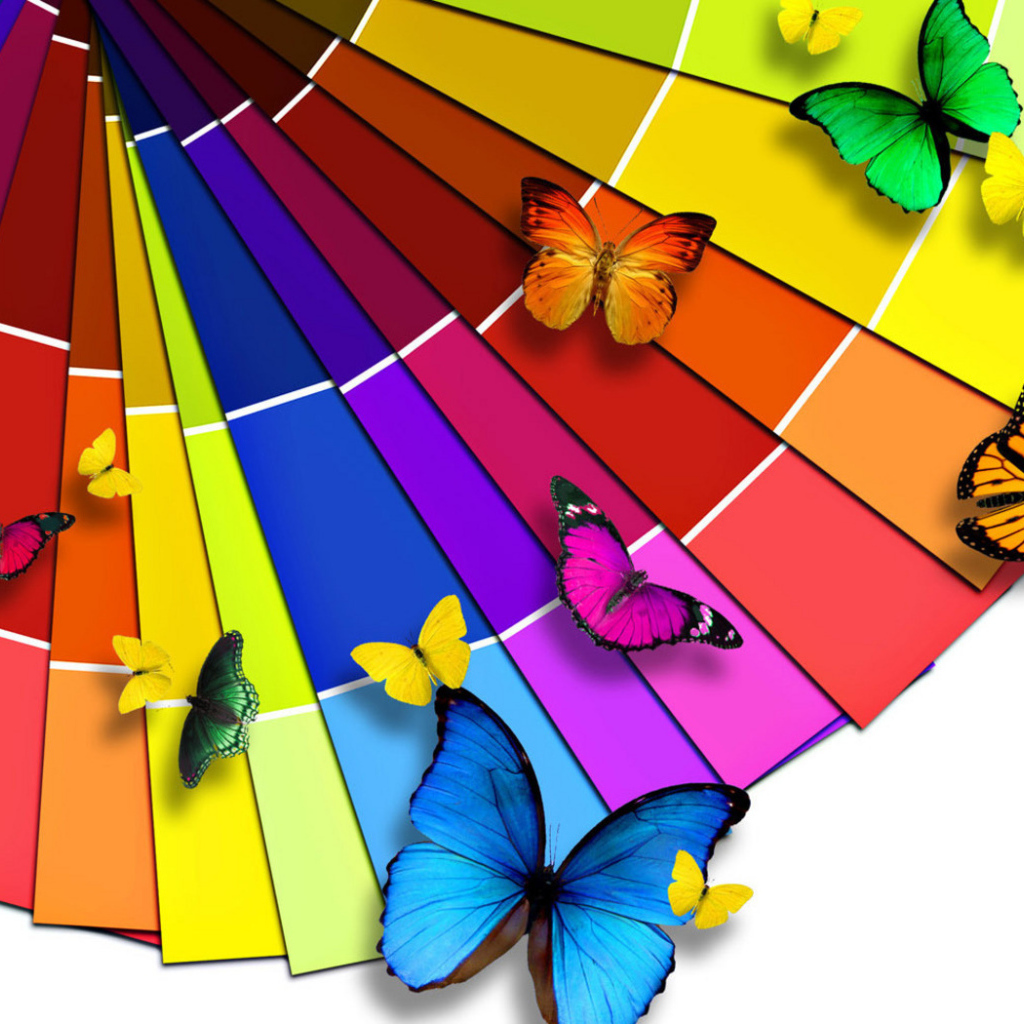 Разноцветные бабочки