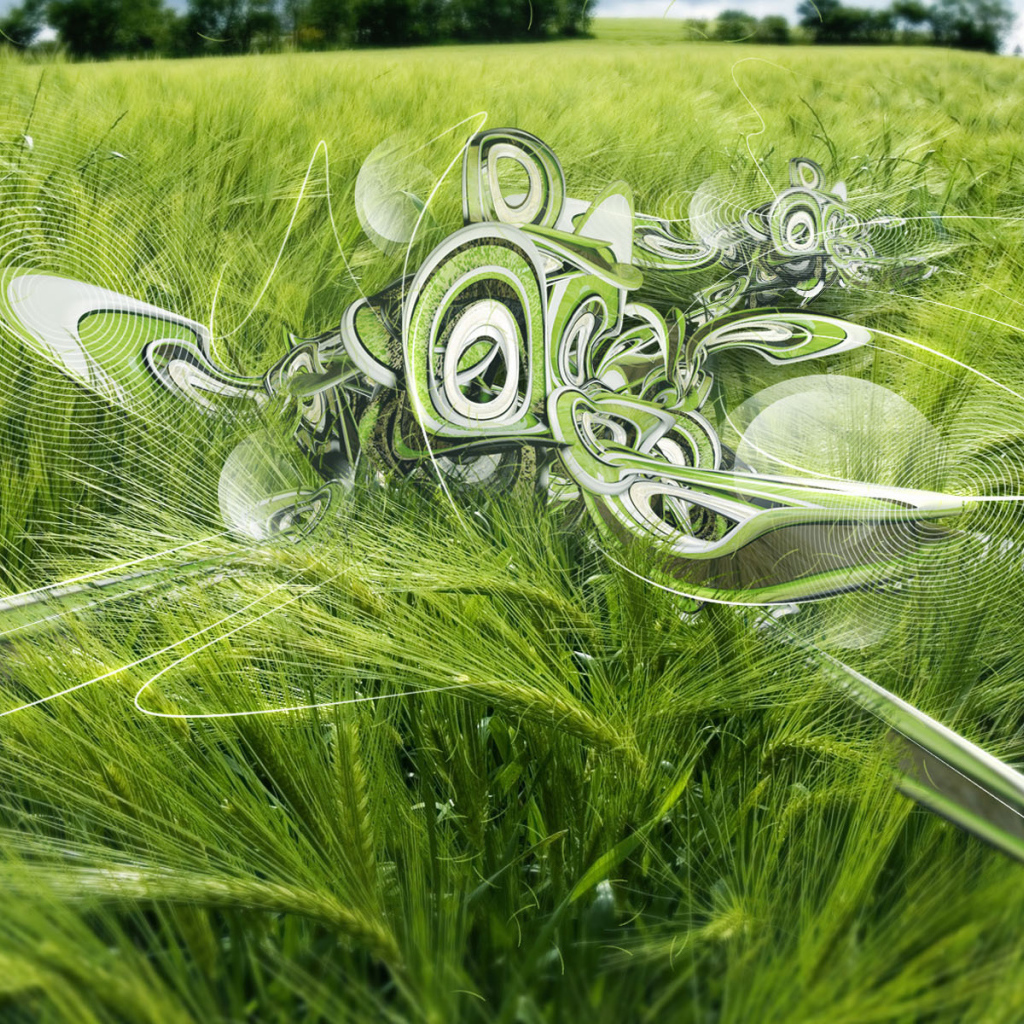 Пшеничное поле