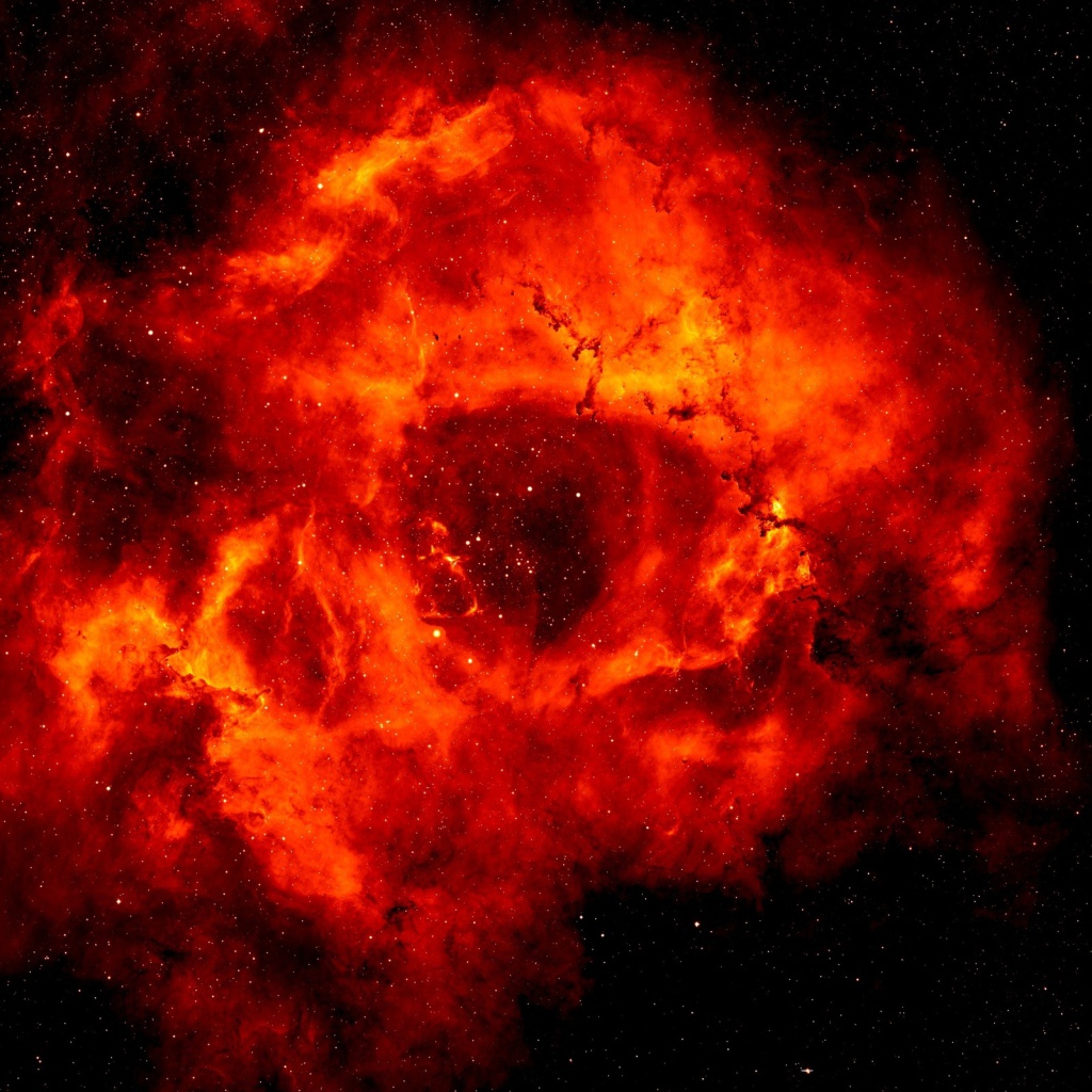 Туманность розетки