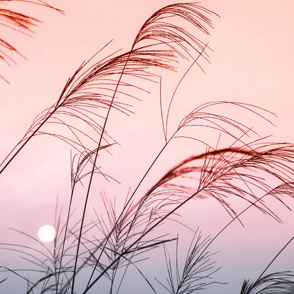 Солнечный закат в Китае