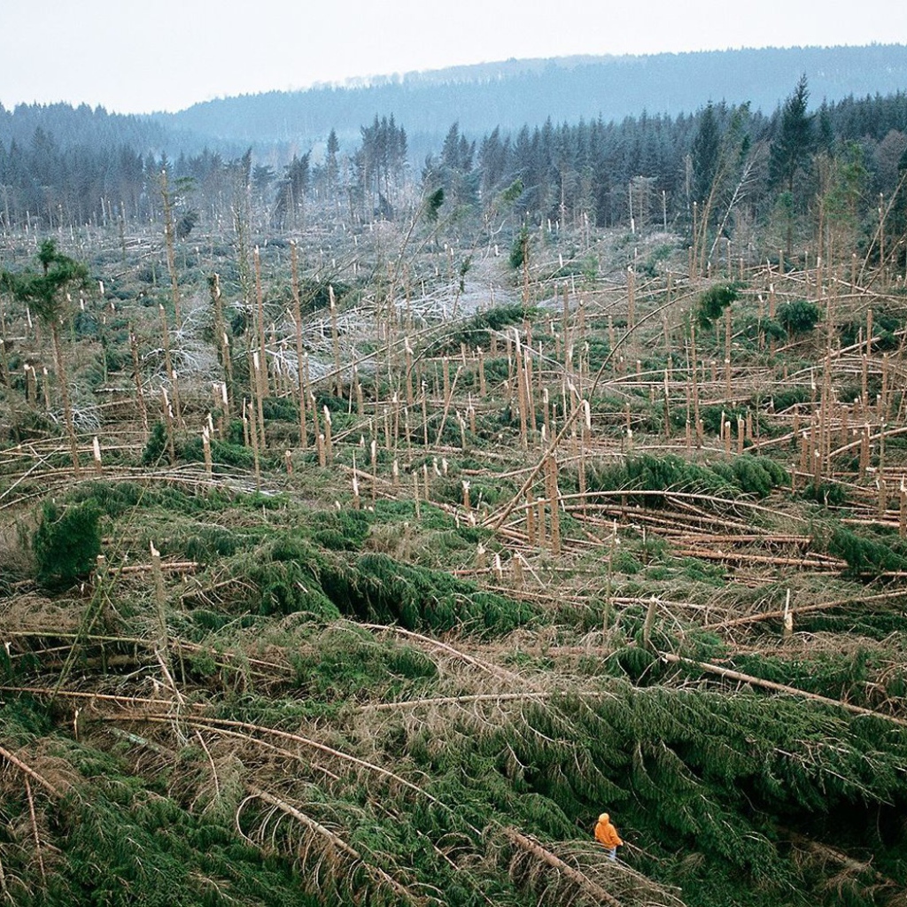 После урагана во Франции