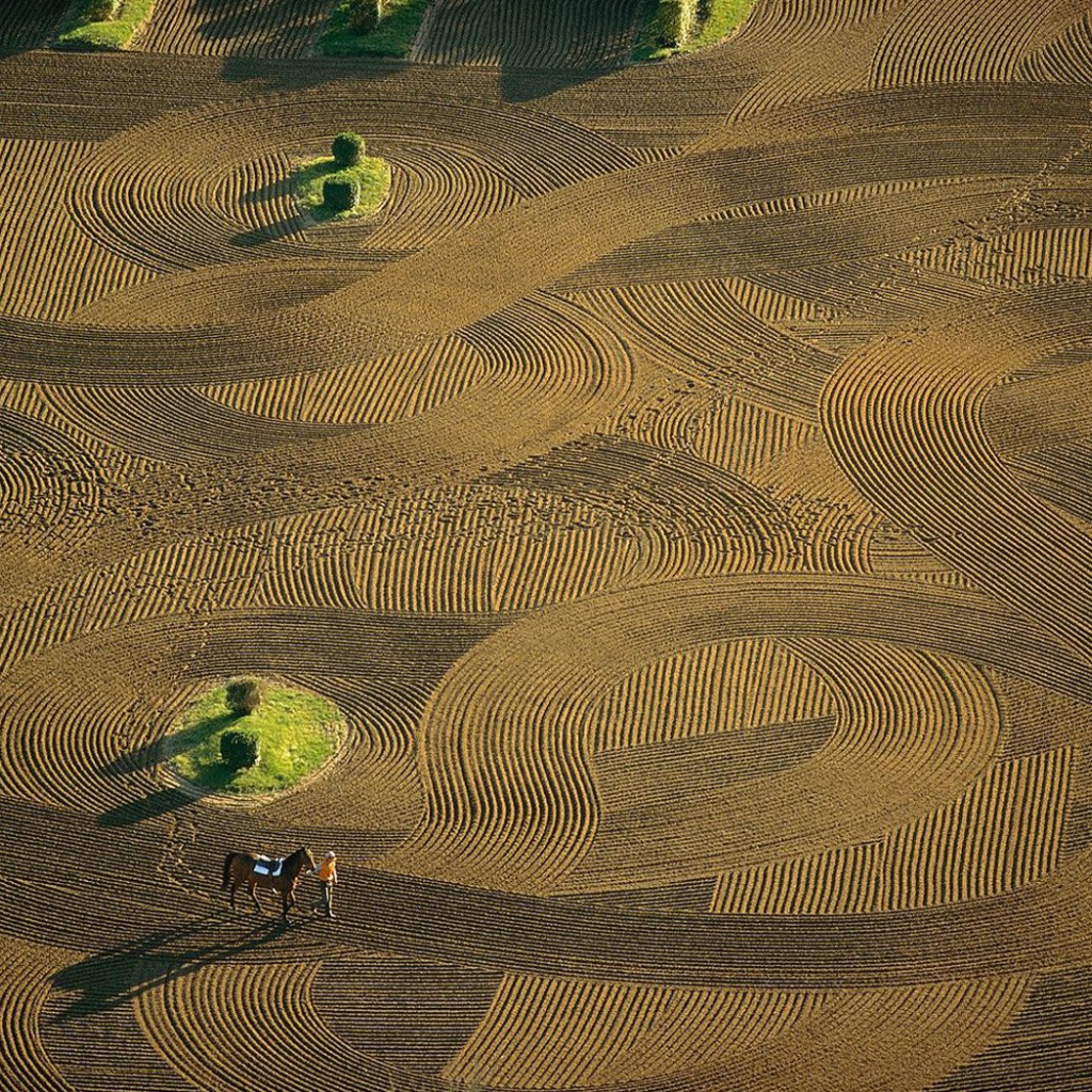Лошадиная арена Франция