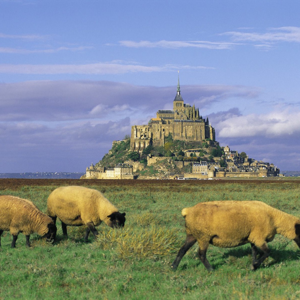 Огромный французский замок