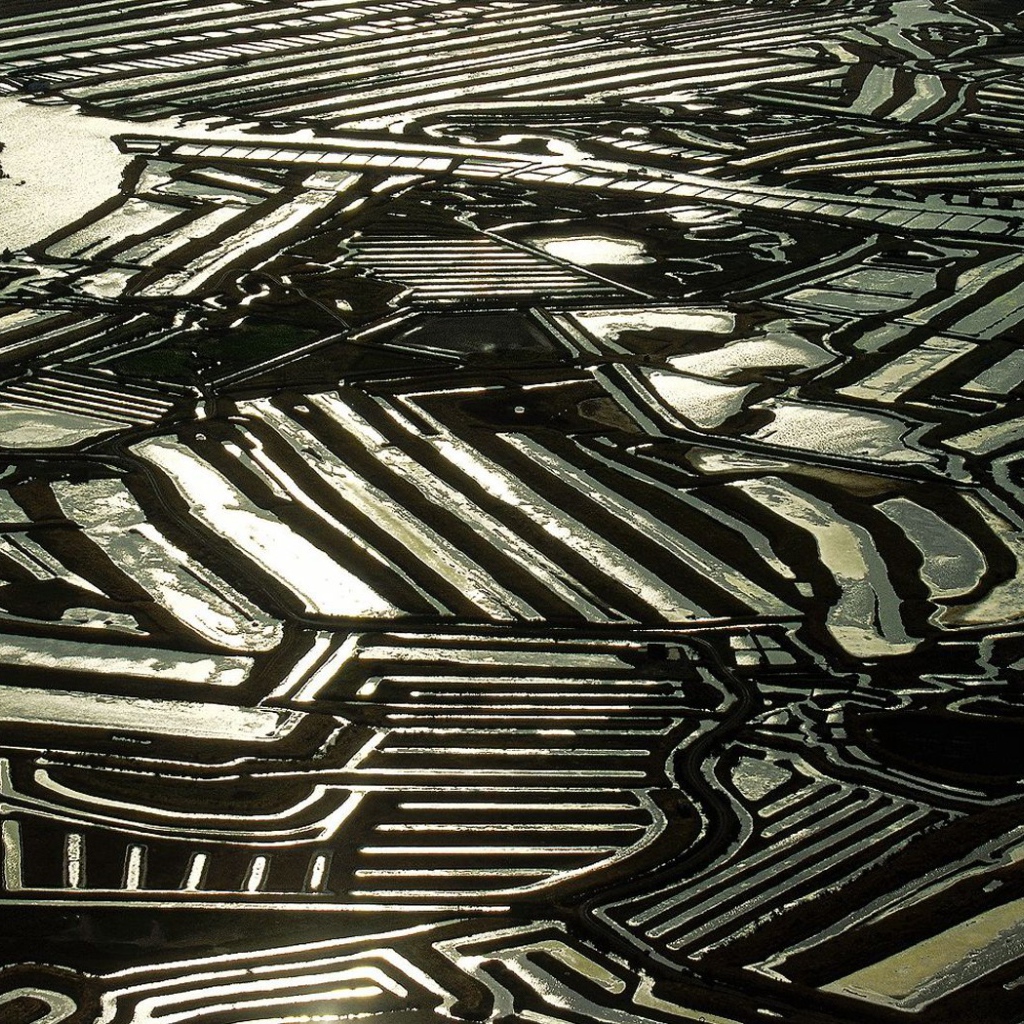 Устричные фермы