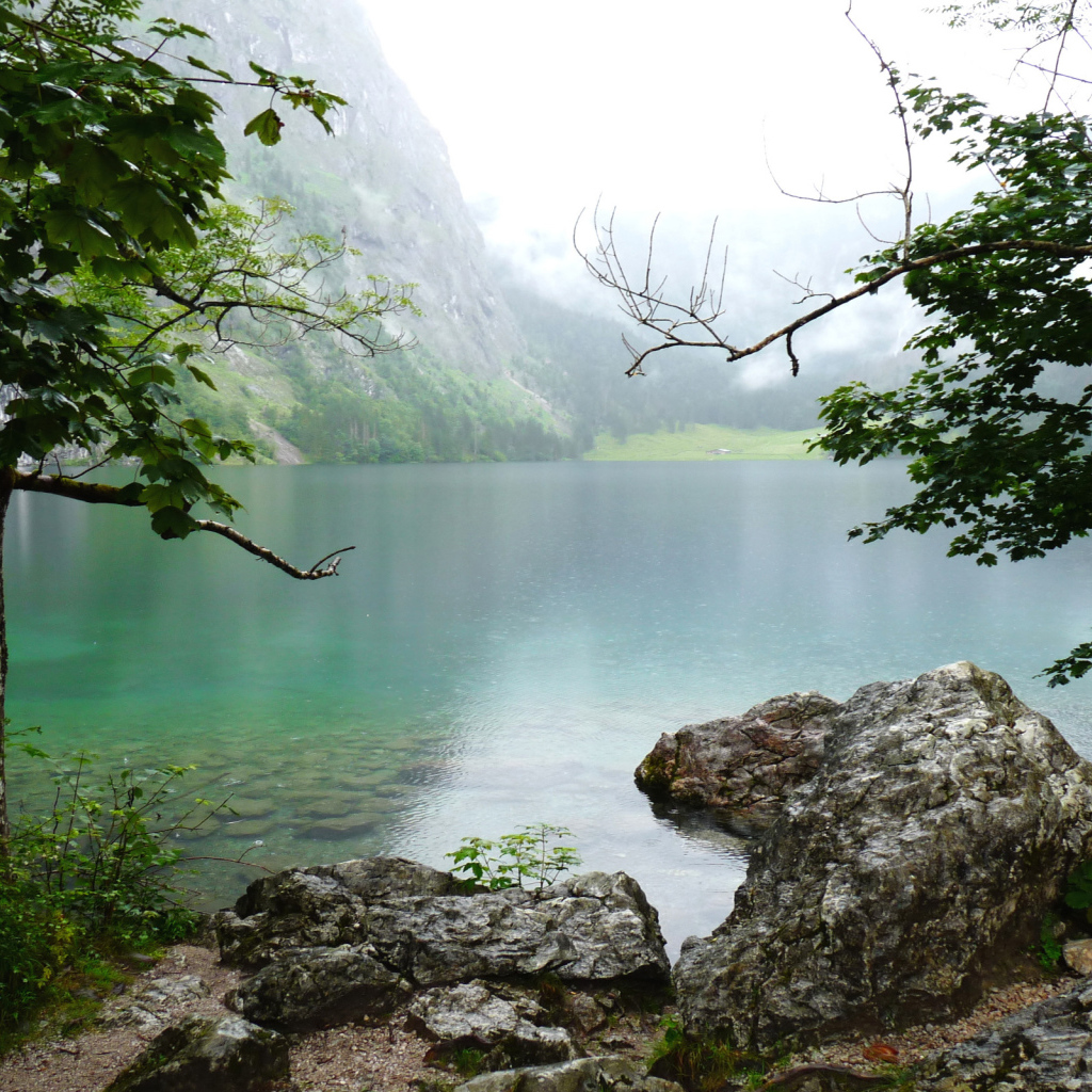 Природа Баварии