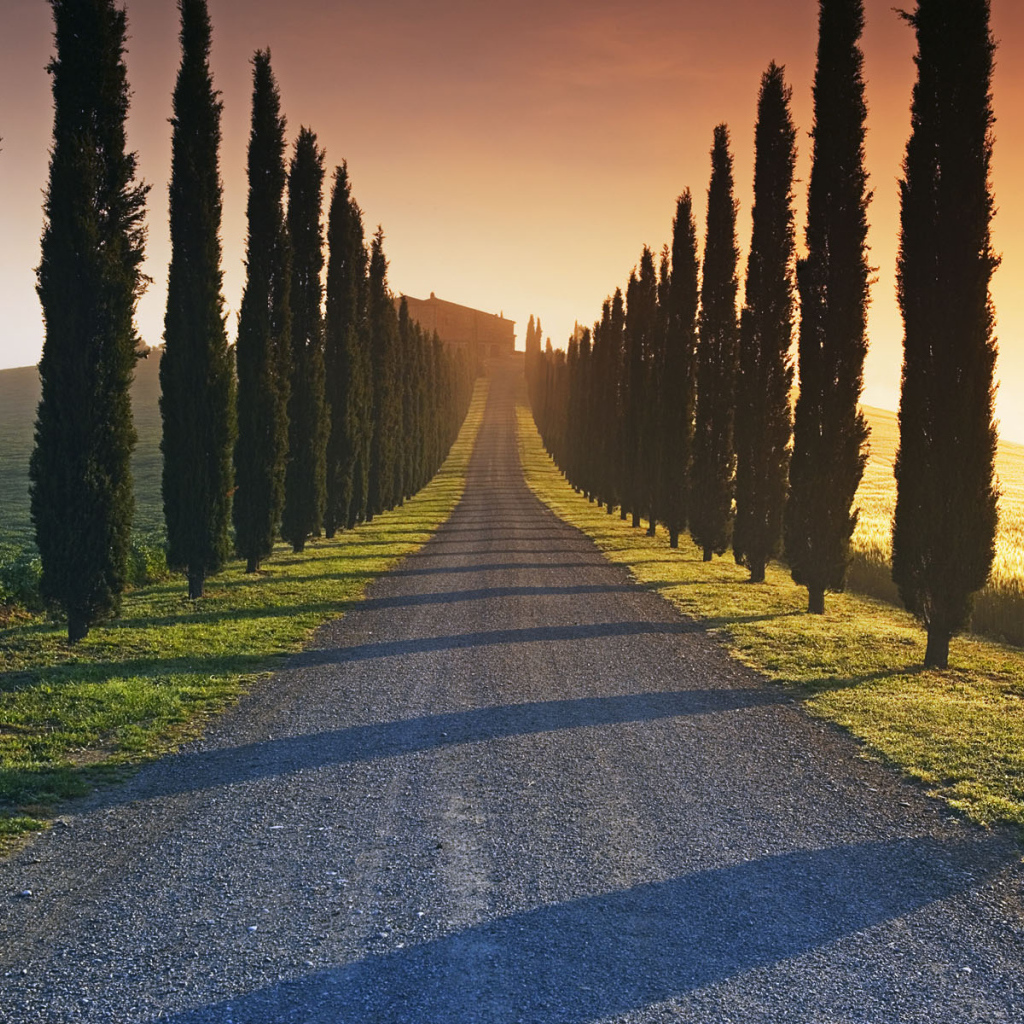 Дорога к Итальянскому поместью