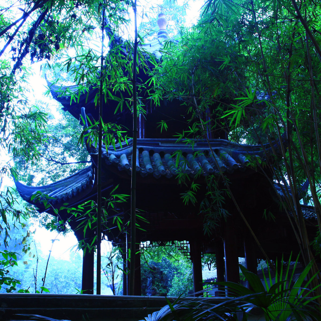 В японском саду