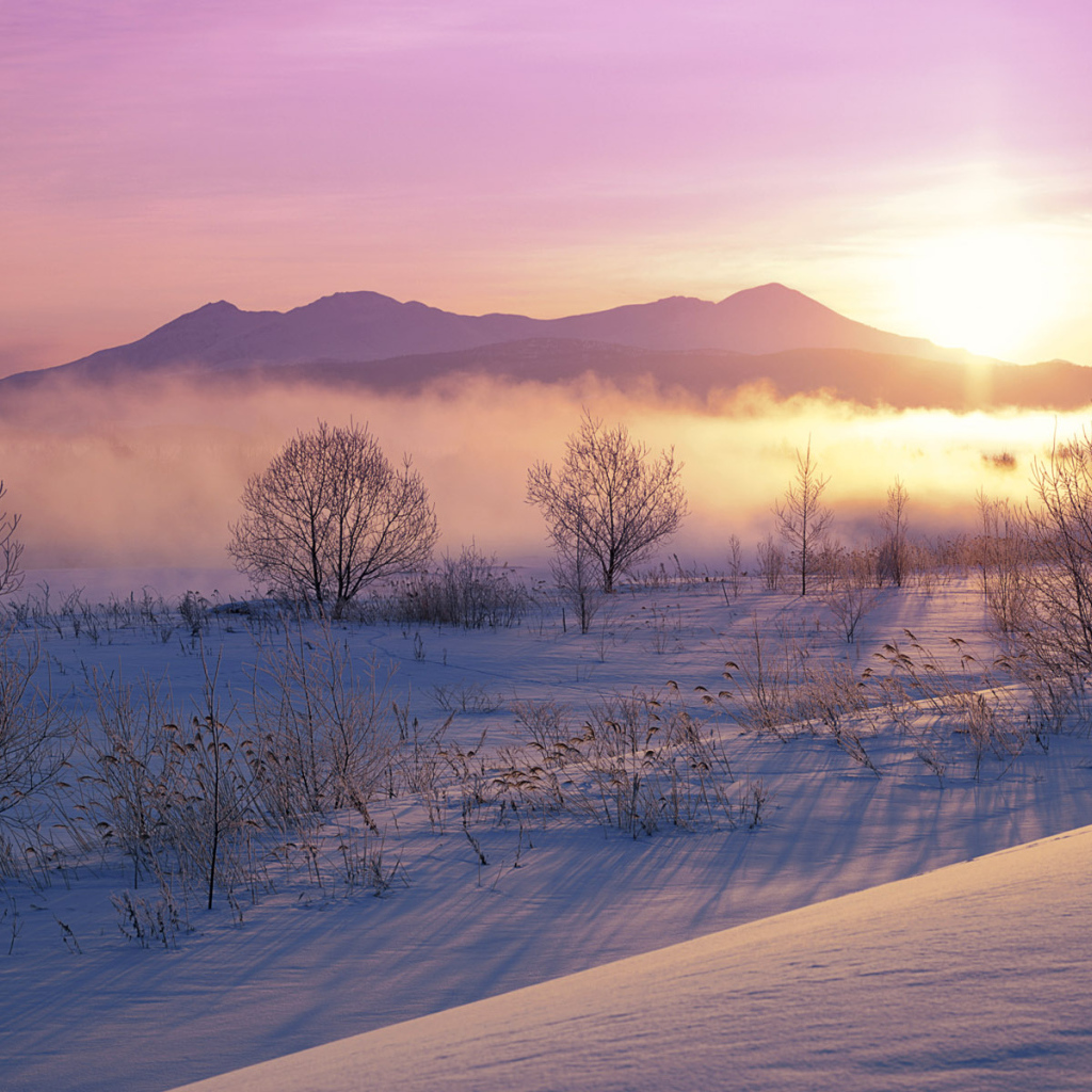 Зима в Японии