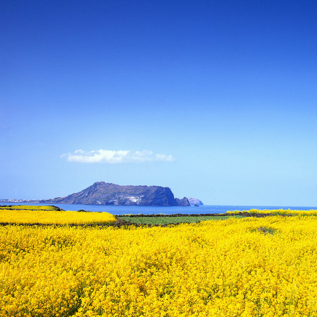 Природа Кореи