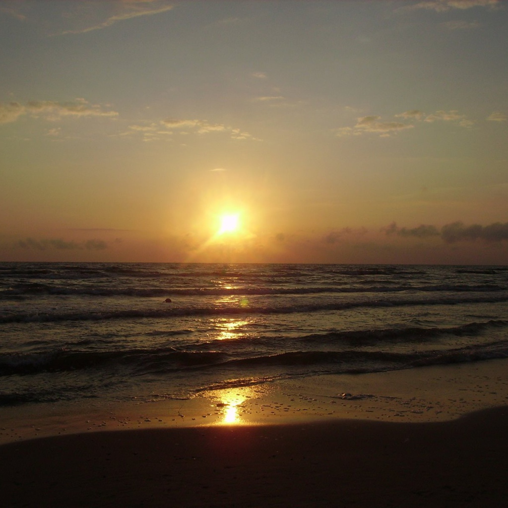 Паланга Балтийское море