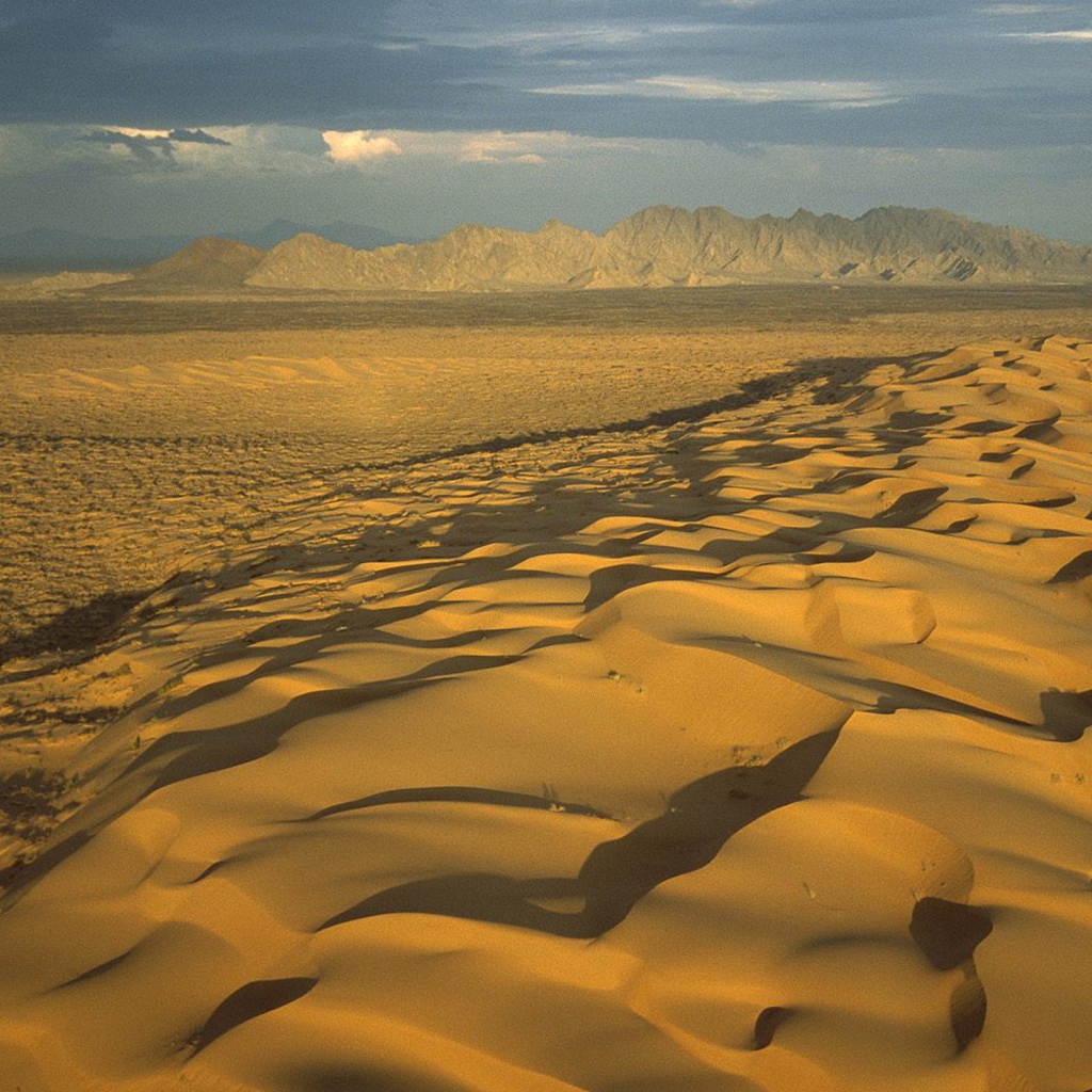Мексиканская пустыня