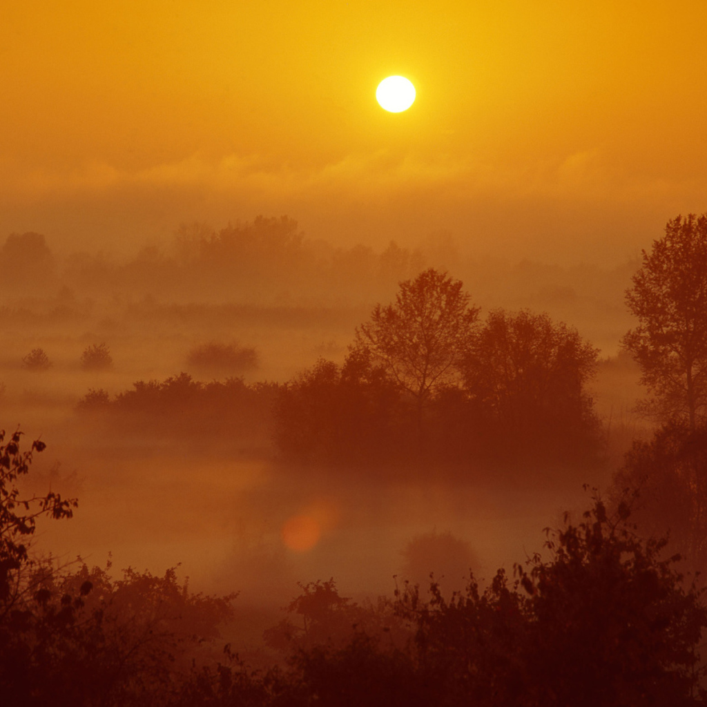 Туман на закате