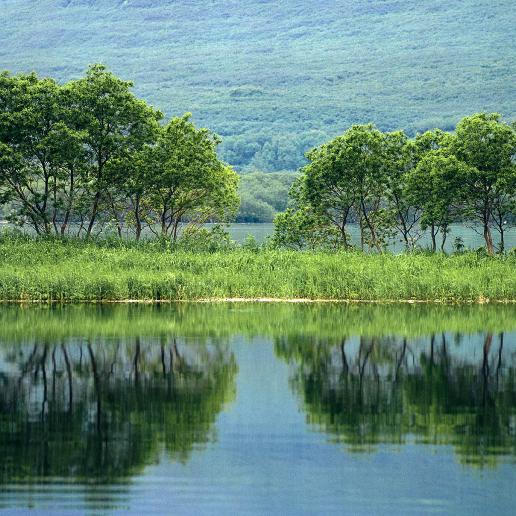 Природа России