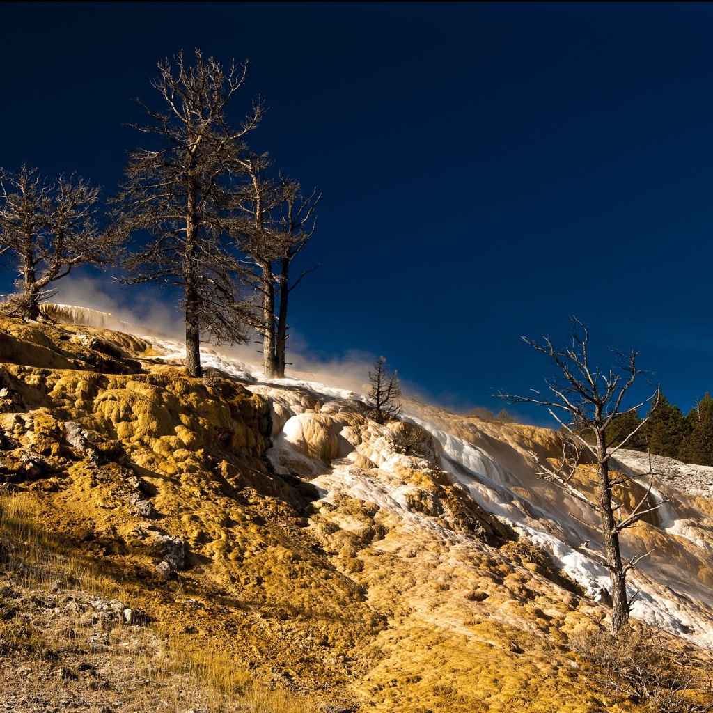 Природа в Йеллоустоуне США