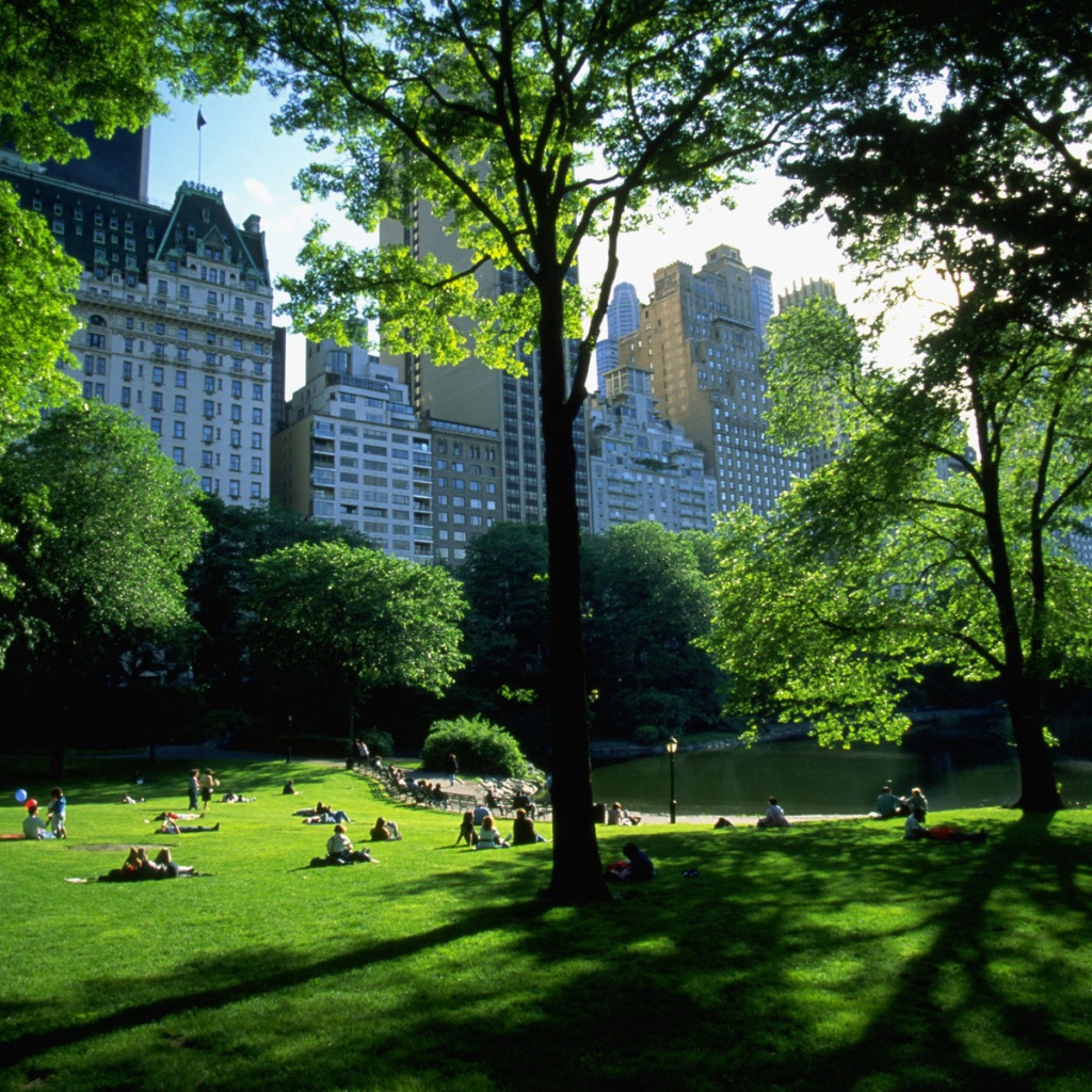 Центральный парк NY