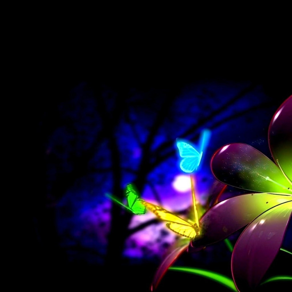 Цветок и бабочки в ночи