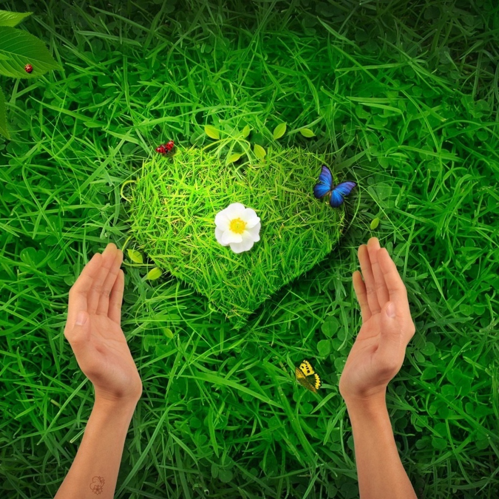 Травяное сердце