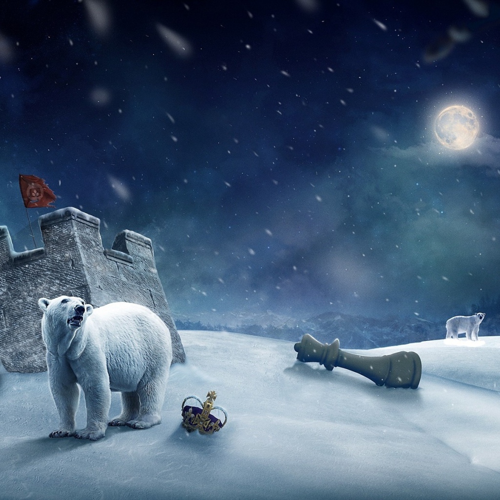 Белые медведи и шахматы