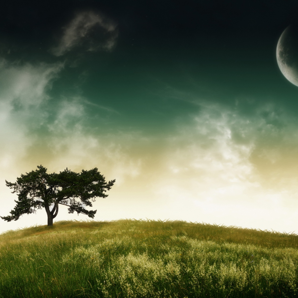 Дерево, небо, планета