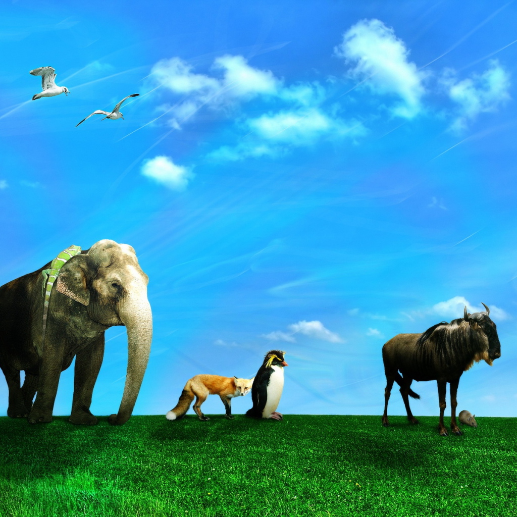 Дикие животные