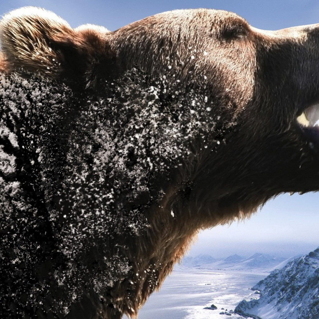 Рычащий медведь