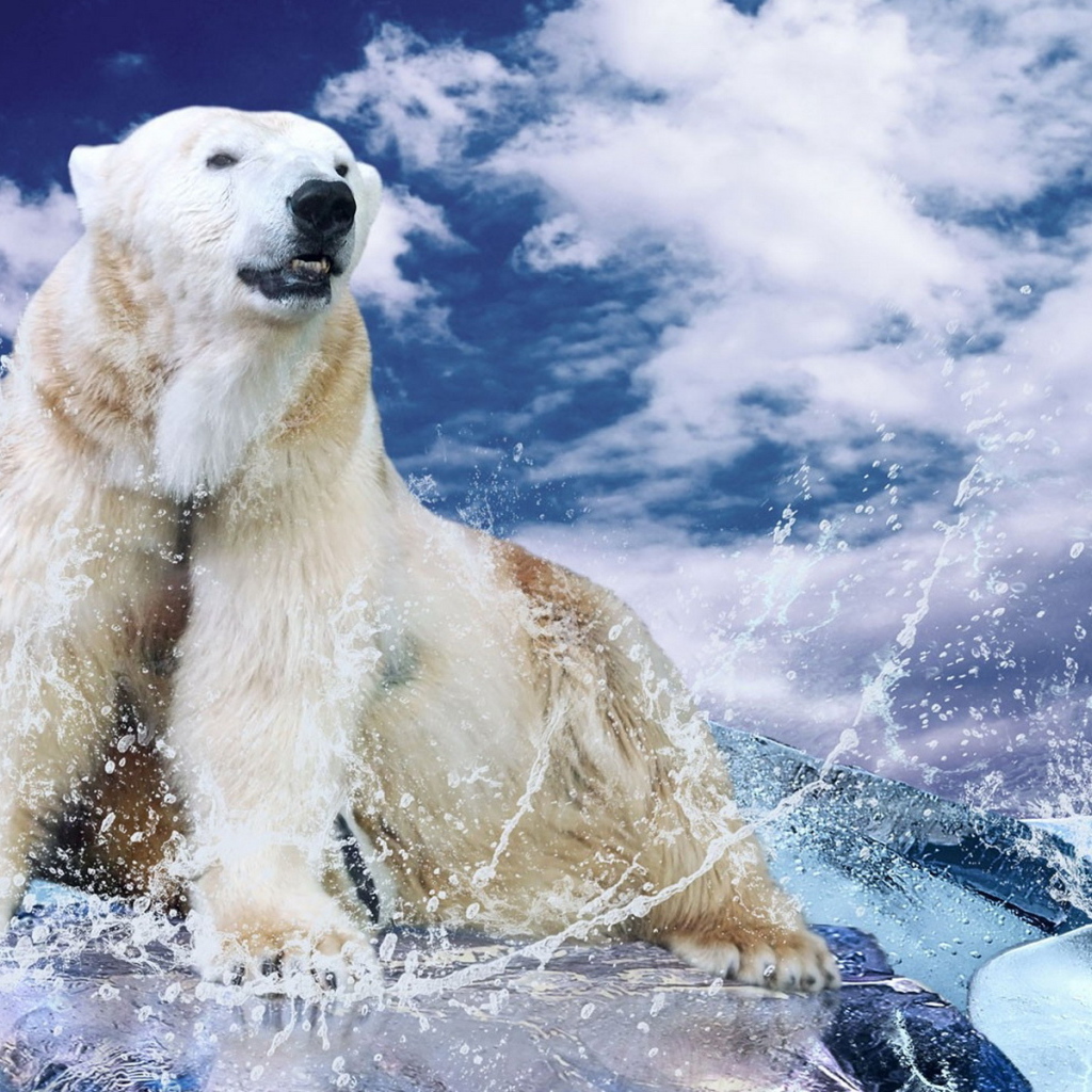 Белый медведь на льду