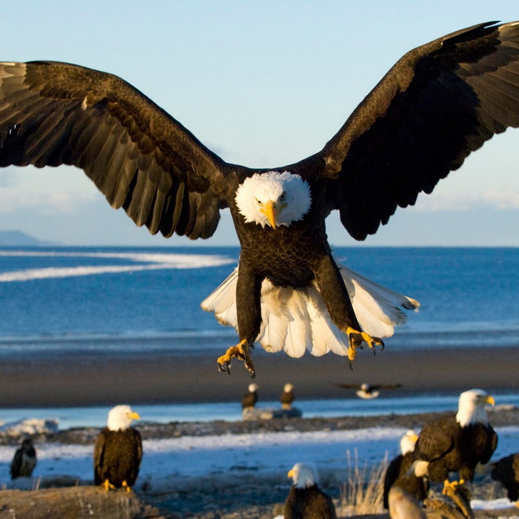 Грозный орел