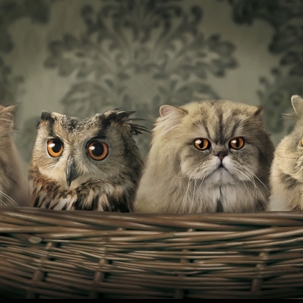 Я люблю своих братьев