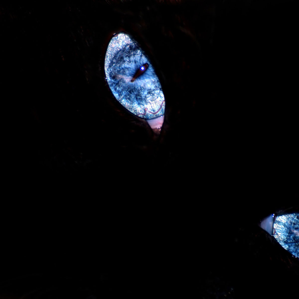 Эти глаза напротив