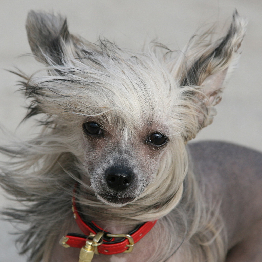 Добрый взгляд