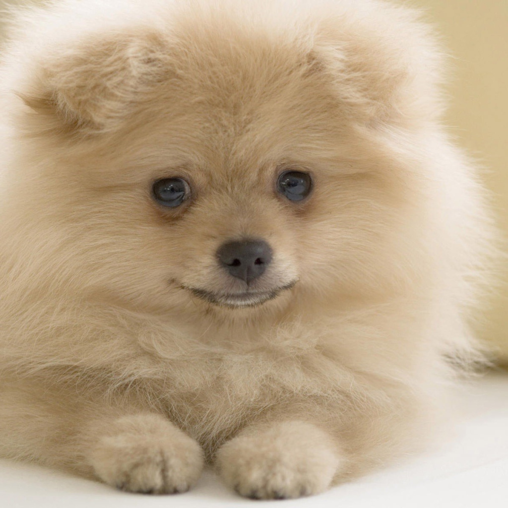 Я вам улыбаюсь