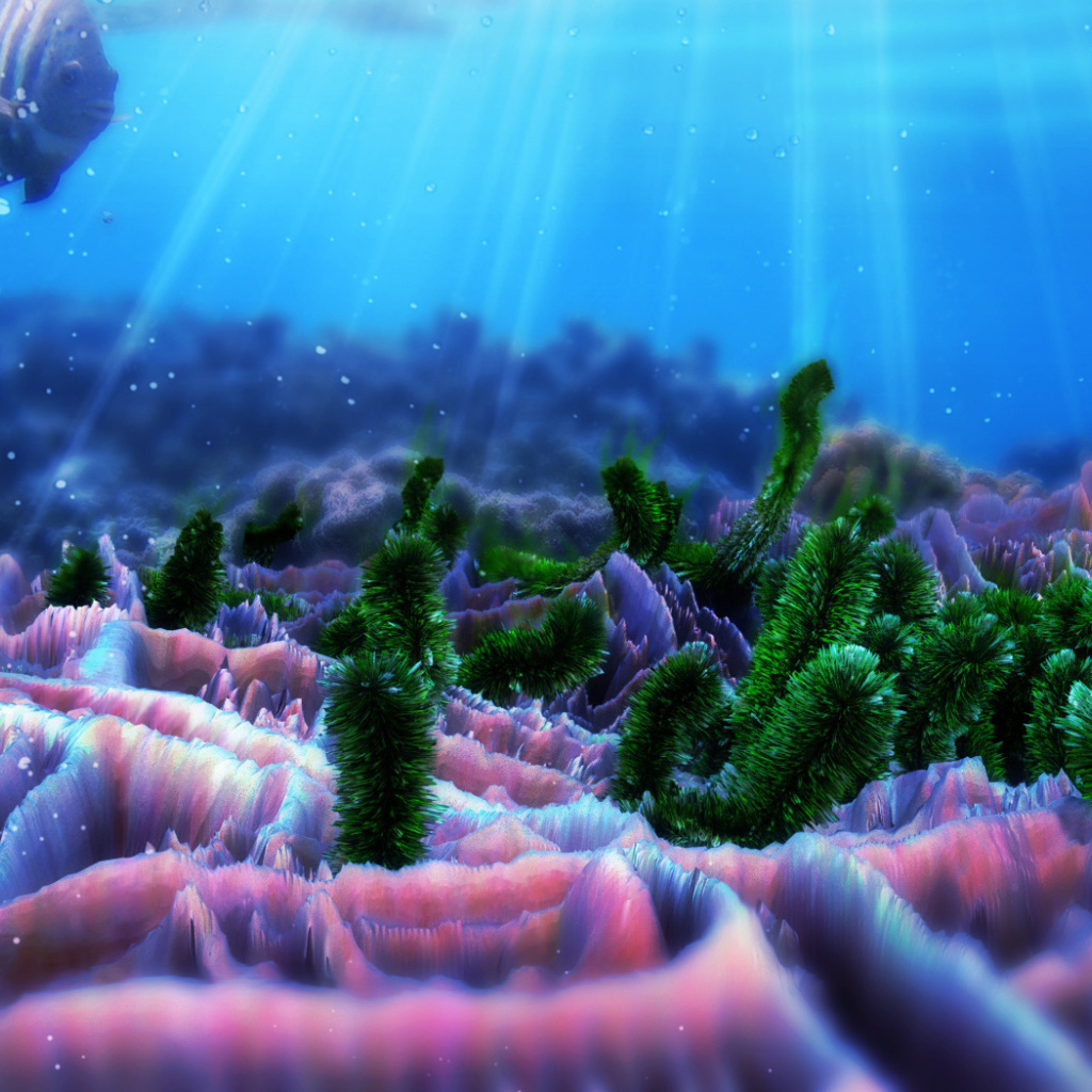 Жители морского дна