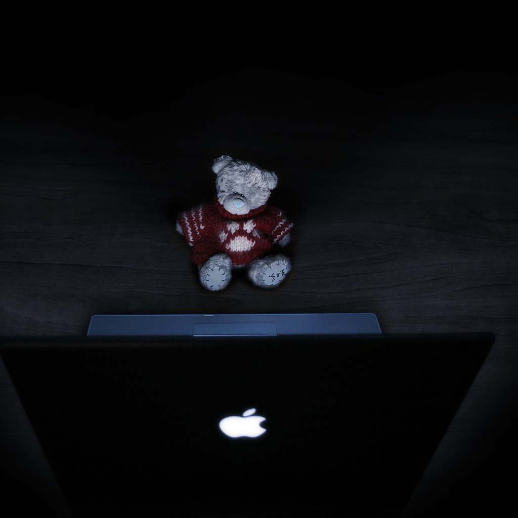 Мишка и ноутбук