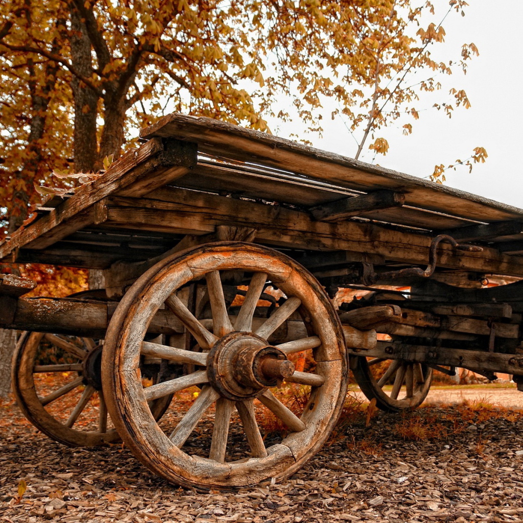 Old wagon