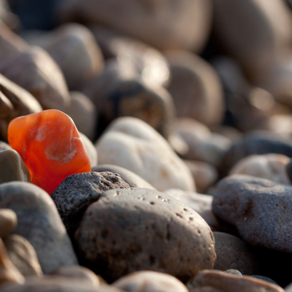 Крупная галька