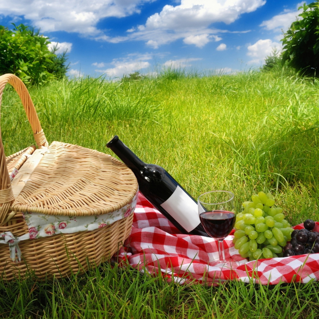 Пикник на природе